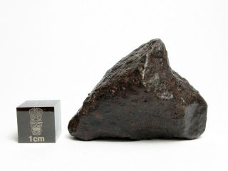 NWA x Meteorite 31.  63g Remarkable Rock From Space 2