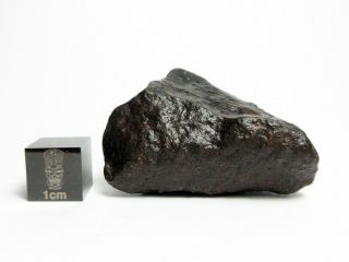 NWA x Meteorite 31.  63g Remarkable Rock From Space 3