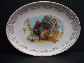 Thanksgiving Turkey Platter 22k Gold Rim 13.  5 " X 10.  25 " Oval Platter Sabin Usa