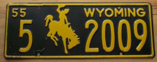 Wyoming 1955 Albany County License Plate 5 2009