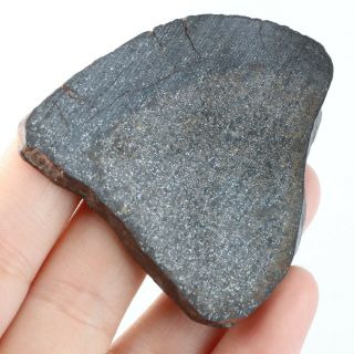 32g Rare chondrite meteorite crust Meteorit Chondrit slice QL A3105 2