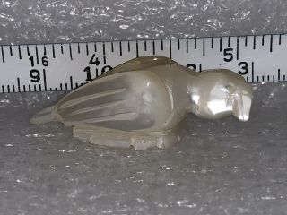 Zuni Mother Of Pearl Fetish Parrot Signed By Fernando Laiwakete