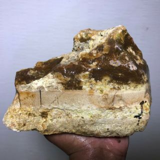 Solid Dendretic Agatized Opal Rough - 7.  5 Lbs From - Africa