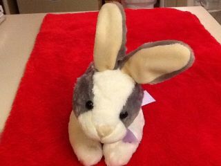 Cleo Plush Easter Bunny Rabbit sings C,  C Everybody Dance Now,  Ears & Tail Move 2