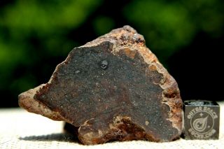 Nwa Unclassified Meteorite 41 Grams Windowed With Interesting Features