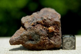 NWA Unclassified Meteorite 41 grams windowed with interesting features 2
