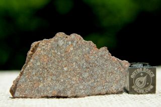 Nwa 10499 Ll3 Primitive Chondrite Meteorite 2.  2g From Billions Of Years Ago