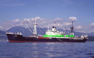 1 Slide Of Brazilian - Flag Cia Nav Lloyd Brasileiro 1960 - Built Cargo Ship Torres