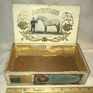 Antique Ashwood Race Horse Wood Cigar Box Vintage Tobacco Guideless Wonder