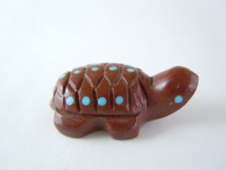 Adorable Zuni Blue Spotted Baby Turtle Hatchling Fetish Carving Amanda Siutza 44