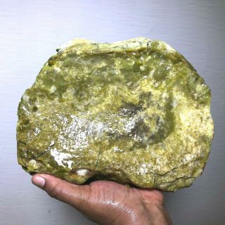 Solid Green Dendretic Agatized Opal Rough - 19.  5 Lbs From - Africa