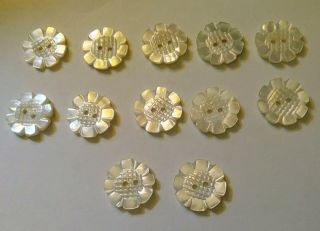 12 Vintage Mother Of Pearl Buttons Carved Flowers