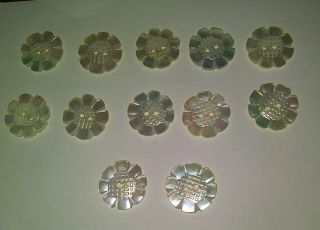 12 Vintage Mother Of Pearl Buttons Carved Flowers 2