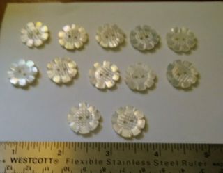 12 Vintage Mother Of Pearl Buttons Carved Flowers 3
