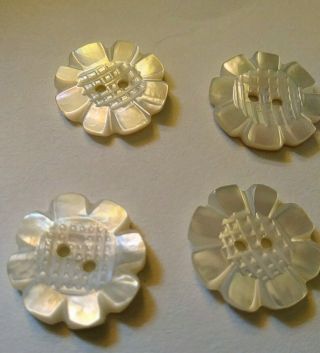 12 Vintage Mother Of Pearl Buttons Carved Flowers 4