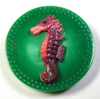 Vintage Casein Button Colorful Seahorse Design - 1 & 1/16 "