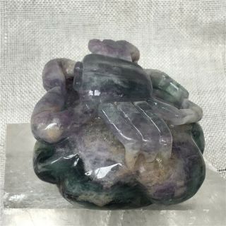 2.  06LB Natural fluorite quartz crab skull Hand Carved Crystal Healing hOK1211 2