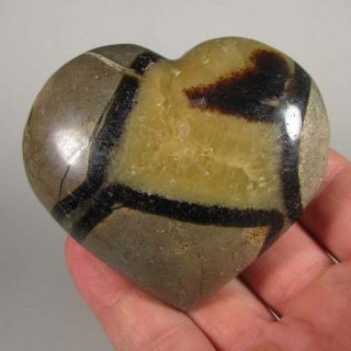 3 " Septarian Heart Dragon Stone Polished Palm Stone Healing Reiki - Madagascar