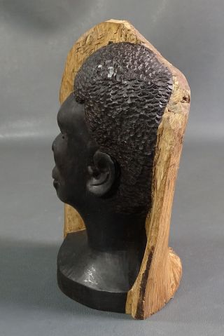Old Tribal Africa African Man Bust Head Ebony Wood Carving Figurine Sculpture 4