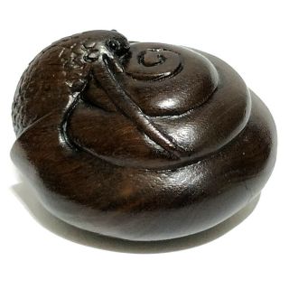Y5307 - 15 Years Old 2 " Hand Carved Ebony Ironwood Netsuke - Snail