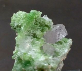 170 Carat Tourmaline Crystal Combine With Kunzite Crystal On Matrix@afg