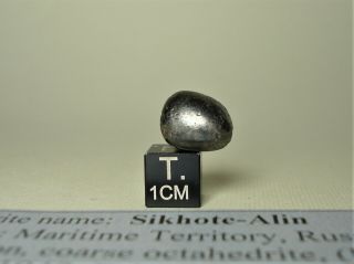 Meteorite Sikhote - Alin,  Russia,  Complete Oriented Individual 5,  2 G