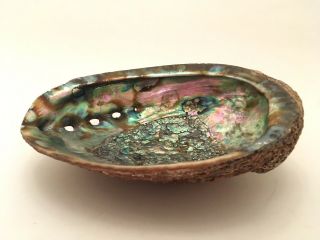 Large Vintage Abalone Mother Of Pearl Sea Shell 6 - 3/4 inches 3