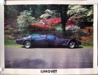 Poster Limovet Corvette Limousine
