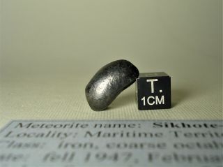 Meteorite Sikhote - Alin,  Russia,  Complete Oriented Individual 4,  4 G
