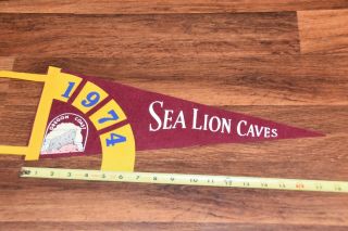 Vintage 1974 Sea Lion Caves Oregon Coast Souvenir Travel Felt Pennant Flag