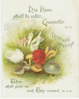 Victorian Christmas Greetings Card Mushrooms Fungi Religious Text
