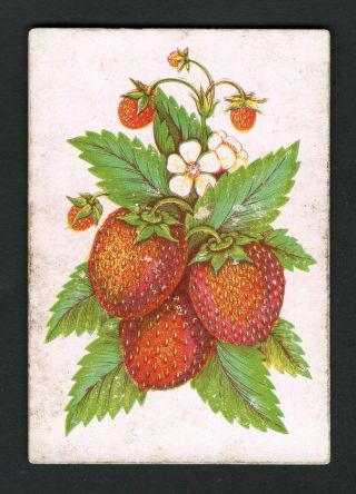 1 Single Swap Playing Card Strawberry Art Square Corner Antique Wide Old Vintage