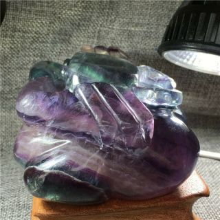 1.  84LB Natural fluorite crab Hand Carved Crystal Healing hOK1197 4