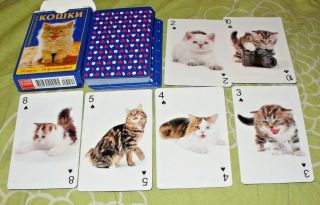 52 Playing Cards Deck With Real Photos Of Cats From Russia