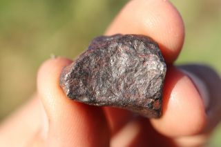 Canyon Diablo Meteorite Individual 9.  1 Grams