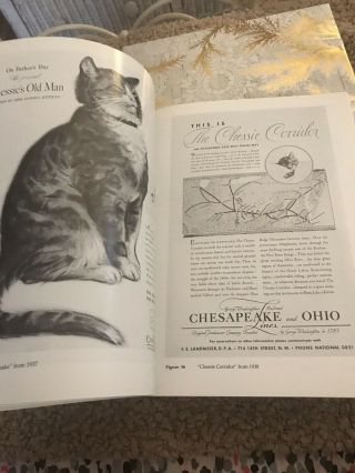Chesapeake and Ohio Railroad “Chessie - The Railroad Kitten” History Book 5