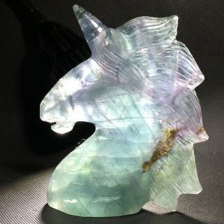 Natural Fluorite Quartz Unicorn Skull Hand Carved Crystal Healing Wmk733