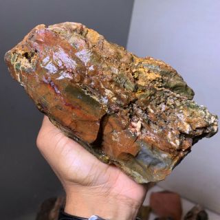 Top Aaa Quality Fancy Imperial Bloodstone Jasper Rough - 3.  5 Lbs - From India