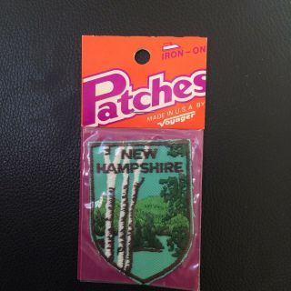 Vintage Patch Hampshire
