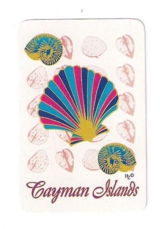 Bridge Size Deck Souvenir Playing Cards From Cayman Islands,  Caribbean,  Shells