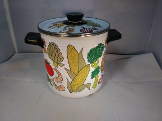Vintage All - Purpose Cooker Porcelain 18/8 Stainless 4 Quart Steamer Enamelware