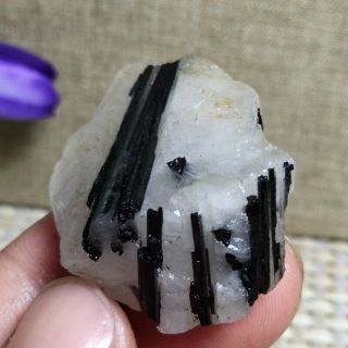 Black Tourmaline Rutilated Uncut Quartz Crystal Mineral Specimen Tibet C513