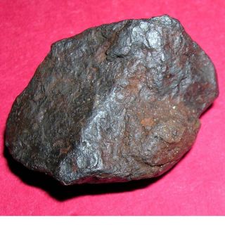 Canyon Diablo Meteorite - 24.  0 Gram Individual