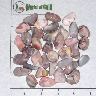 Botswana Agate,  Medium Tumbled,  1/2 Lb Bulk Stones Pink Gray 35 - 45 Pk