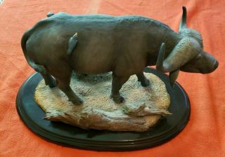 Feathers Of Knysna Le.  South Africa Hand Crafted Water Buffalo Large Rare