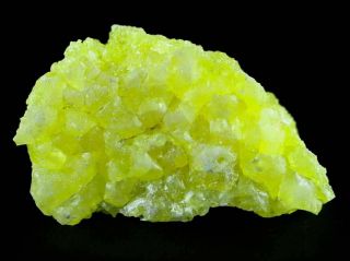 Rough Bright Yellow Sulfur Crystal Cluster On Matrix El Desierto Mine Bolivia