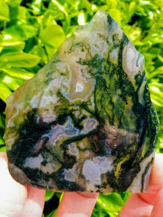 TWO (2) OLD STOCK HIGH END GREEN MOSS AGATE SLABS PRINEVILLE CENTRAL OREGON 7OZ 2