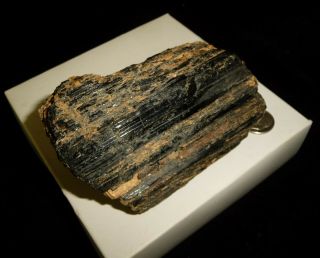 Dino: Huge Natural Black Tourmaline Crystal Specimen,  Brazil - 458 grams 5