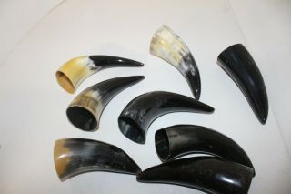 8 Cow Horn Tips B8a96 Natural Colored Polished Cow Horns. , .