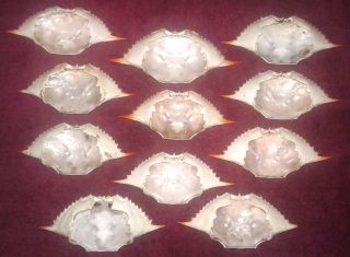 11 Blue Crab Shells - - Arts Crafts Ornaments Marine Sea Ocean Decor - - Cleaned 2